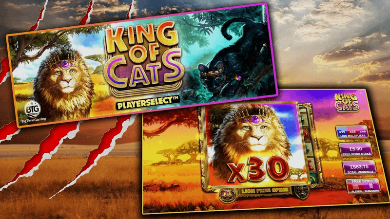 Обзор игрового автомата King of Cats Megaways (Big Time Gaming)