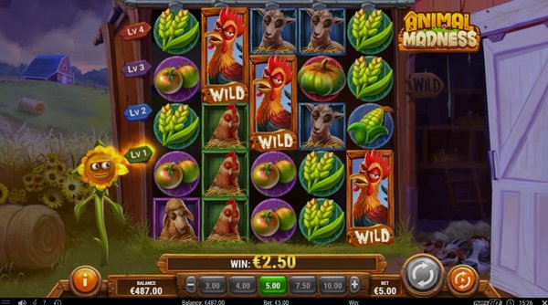Обзор игрового автомата Animal Madness от Play'n GO