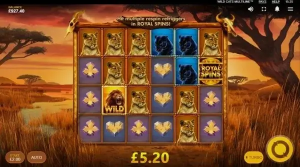 Review of the Wild Cats Multiline slot machine