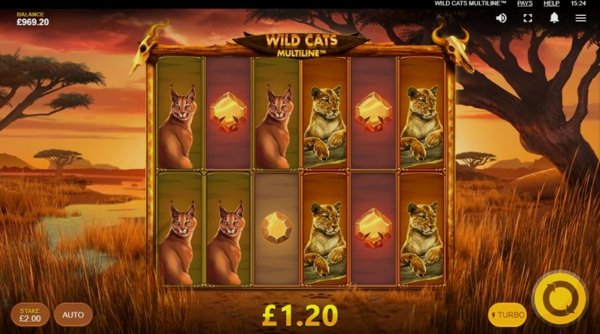 Обзор игрового автомата Wild Cats Multiline